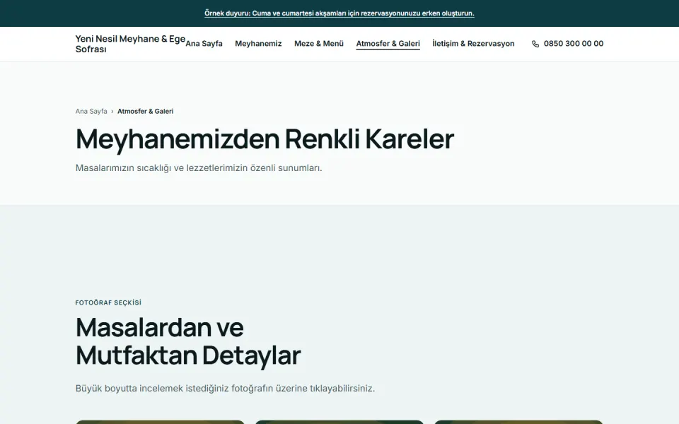 Yeni Nesil Meyhane & Ege Sofrası şablonu, Atmosfer & Galeri sayfası