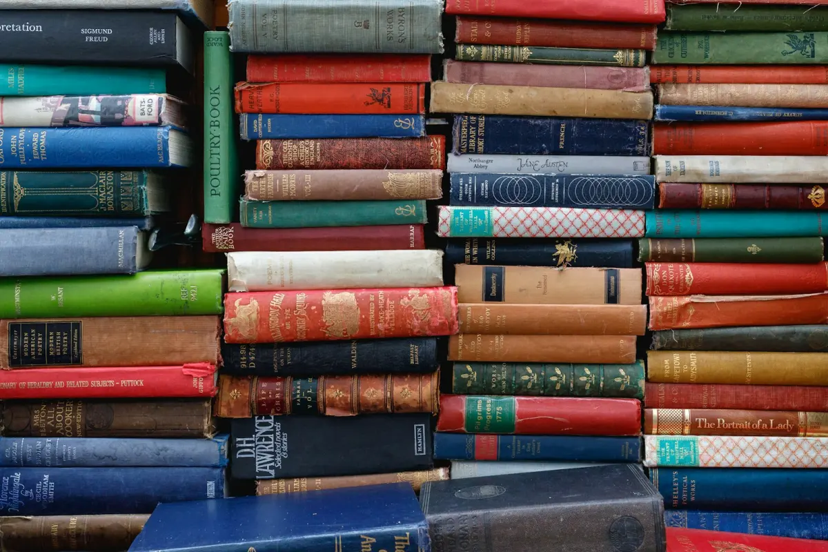 IELTS Hazırlık Programı