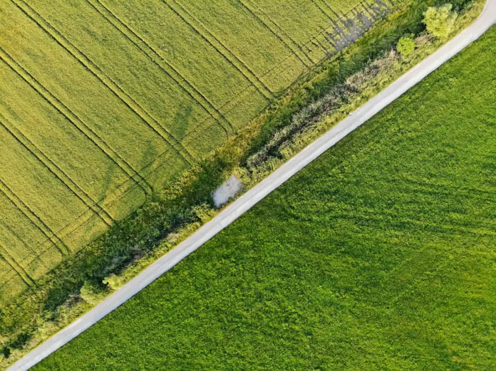 Örnek Parselasyon ve Terk Planı