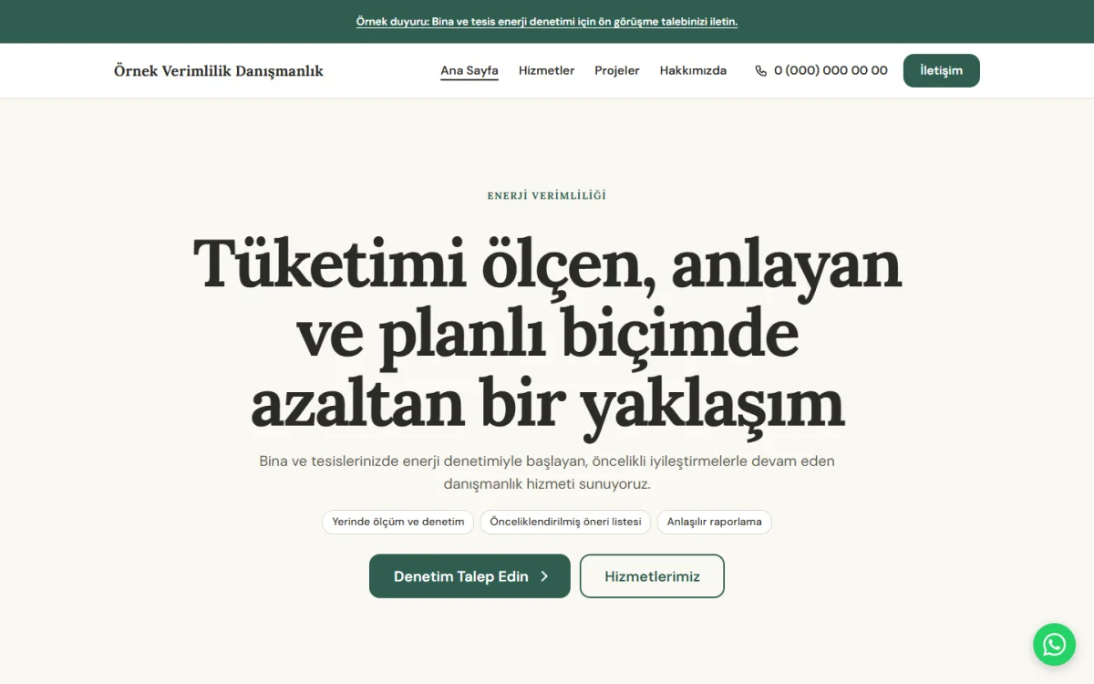 Enerji Verimliliği Danışmanlığı şablonunun ana sayfasının ekran görüntüsü