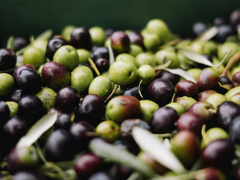 Örnek siyah sofralık zeytin